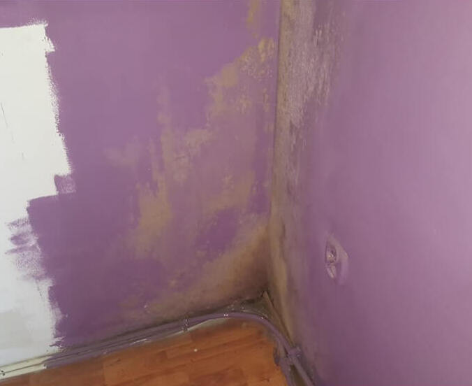 Odgrzybianie ścian po zalaniu