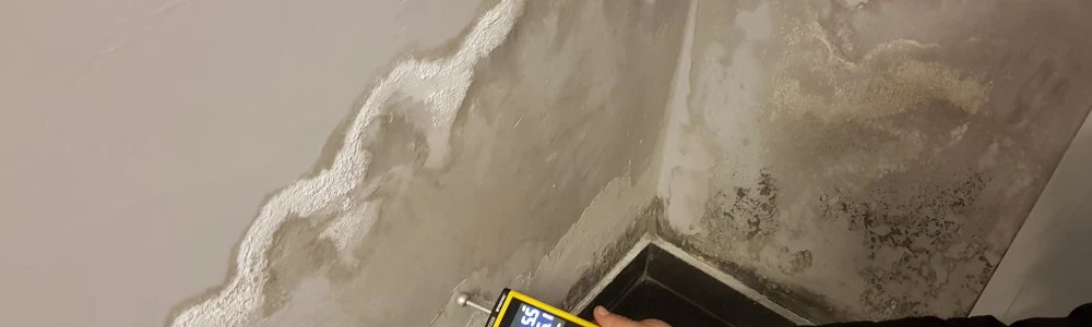Eksperci od&nbsp;osuszania mieszkań w&nbsp;Toruniu – Poznaj TermoEco